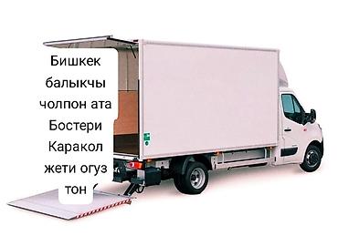 Услуги портера: Спринтер такси Бишке Спринтер такси такси Спринтер такси Спринтер — 8