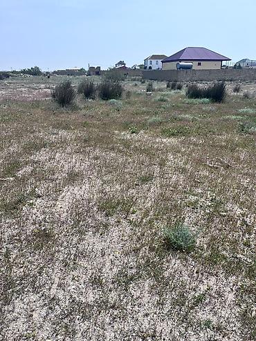 tecili satilan ucuz evler 2025: 4 sot, Kənd təsərrüfatı, Barter mümkündür, Kupça (Çıxarış) — 6