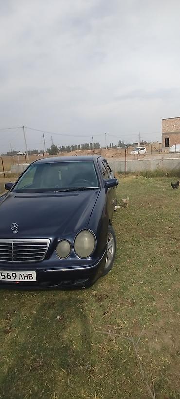 багажник ешка: Mercedes-Benz E-Class: 1999 г., 2.9 л, Механика, Дизель, Седан — 3
