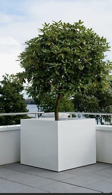 Bitkilər üçün dibçəklər: Müasir dizaynlı kvadrat dekorativ çiçək/qazon qabları 1 metrin 1 metre — 2