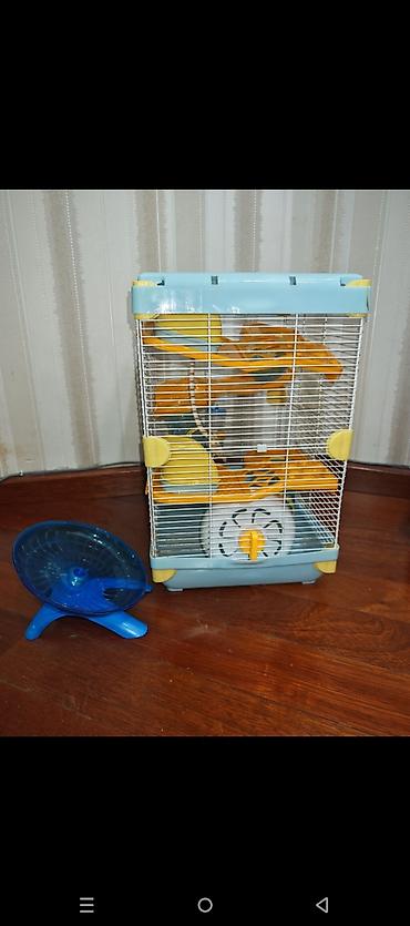 Dəbilqəli hamster üçün çoxmərtəbəli qəfəs dəsti - Rənglər: açıq mavi