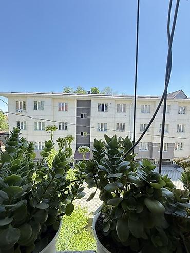 2021: 1 комната, 24 м², Элитка, 3 этаж, Косметический ремонт — 5