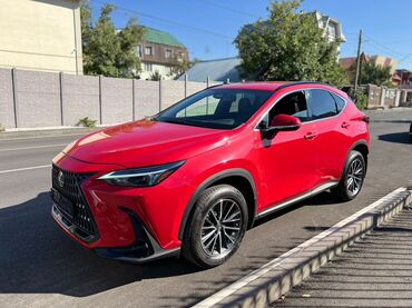 Lexus: Lexus NX: 2022 г., Автомат, Бензин, Кроссовер — 11