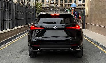 infinity qx56: Lexus NX: 2019 г., Гибрид, Кроссовер — 5