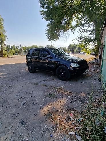 мерс mers: Mercedes-Benz ML-Class: 2002 г., 3.2 л, Автомат, Бензин, Внедорожник — 4