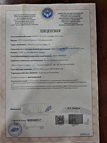 Пассажирский бус на заказ: Пассажирский бус на заказ — 3