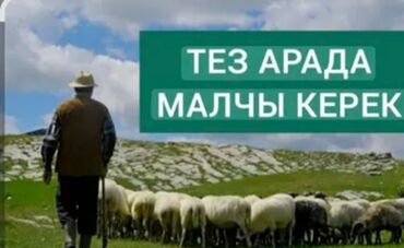 работа для мамочек в декрете на дому: Требуется Скотник, Оплата Ежемесячно