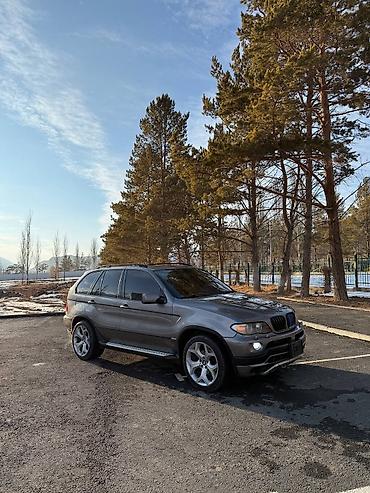 BMW: BMW X5: 2004 г., 4.4 л, Автомат, Бензин, Кроссовер — 2