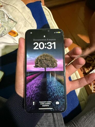 айфон xr 256 гб цена бишкек: IPhone Xs, Колдонулган, 256 ГБ, Ак, Куту, Заряддоочу түзүлүш, Каптама, 94 %