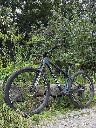 карбоновые: Горный велосипед, Specialized, Рама M (156 - 178 см), Карбон, Б/у — 2