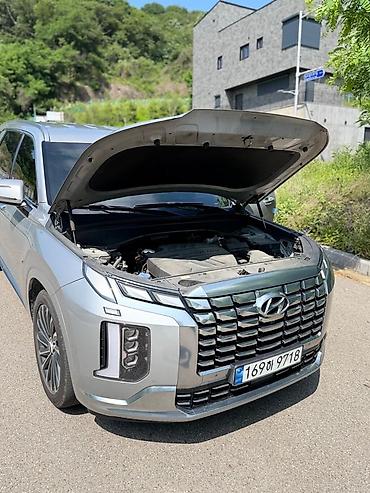 byd e6: Hyundai Palisade: 2022 г., 2.2 л, Автомат, Дизель, Кроссовер — 9