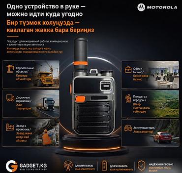 Денежное дерево: 4G рация Motorola с SIM‑картой и годовым абонементом в комплекте - — 10