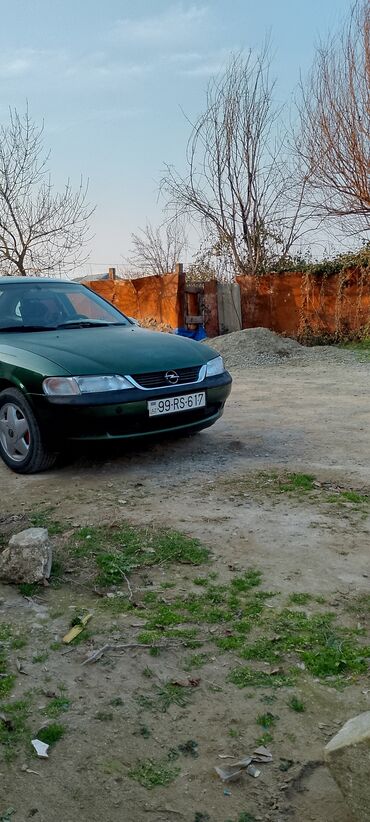 Opel: Opel Vectra: 1.6 l | 1996 il 4000000 km Sedan