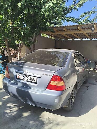 coroll: Toyota Corolla: 2003 г., 1.6 л, Механика, Бензин, Седан — 7