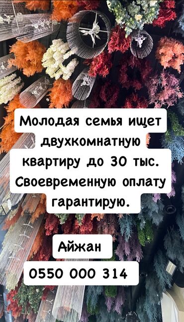 сниму квартиру в балыкчы: 2 комнаты, Собственник, Без подселения