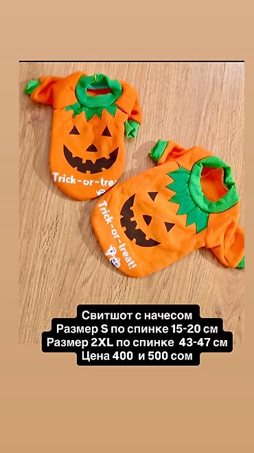 Зоотовары: Одежда для кошек и собак. От 200 сом и дороже Все НОВОЕ РАЗМЕР И — 8