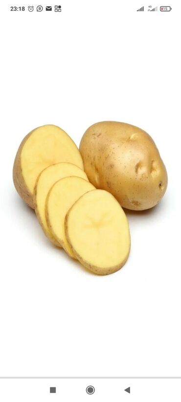 Картошка: Картофель сорт Желе вкусная Доставка по городу Оптом и в розницу