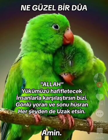 Pilləkən məhəccərləri: Dəmir qapı və məhəccər – bəzəkli sənətkarlıq işi - Material: qalın — 12