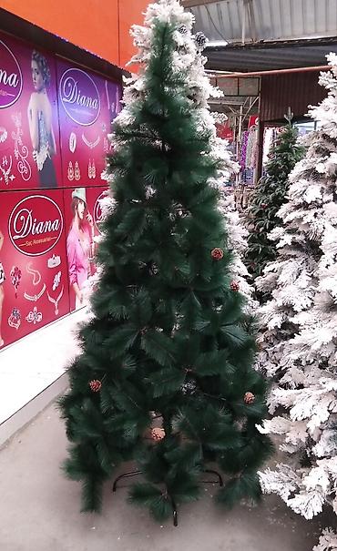 şam ağacı satışı: Sifarisle eve getiririk Çatdırılma pulsuz whatsapp aktivdir 🌲🌲🌲1.80sm — 1
