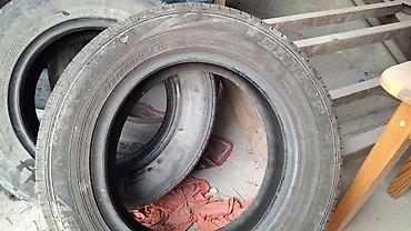 шины размер 2056515: Шины и колёса для легкового авто - 1 шины Dunlop 175/65 R14 в — 1