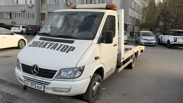 спринтер ручки: С ломаной платформой