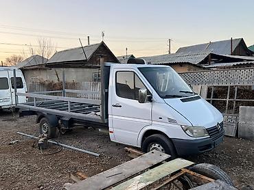 Mercedes-Benz: Mercedes-Benz Спринтер: 2025 г. — 5