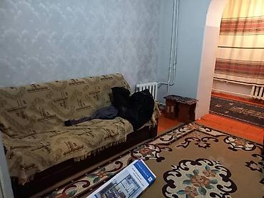 Долгосрочная аренда домов: 25 м², 2 комнаты, Утепленный, Забор, огорожен — 4