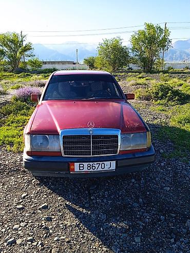 mercedes benz e 250: Mercedes-Benz W124: 1988 г., 2 л, Механика, Дизель, Седан — 1