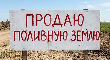 Жер тилкелери: 100 соток, Айыл чарба үчүн, Белек келишими — 1