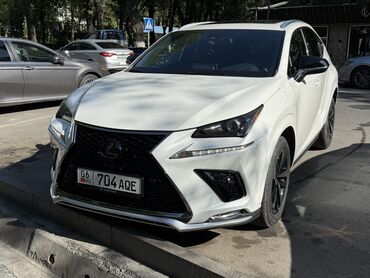белый лексус: Lexus NX: 2019 г., 2 л, Автомат, Бензин, Кроссовер