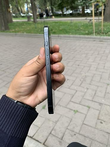 чехл: IPhone 16 Pro, Б/у, 256 ГБ, Черный, Защитное стекло, Чехол, 89 % — 7