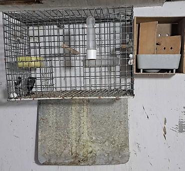 Qəfəslər: Quş qəfəsləri və volyerlər dəsti - Böyük metal volyer: möhkəm məftil — 8