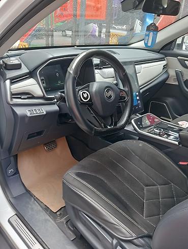 man 19 5: Weltmeister EX5, 2020 г. — 9