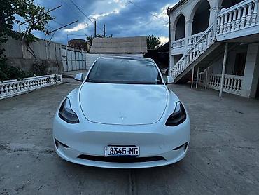 performance: Tesla Model Y: 2023 г., 4.4 л, Автомат, Электромобиль, Кроссовер — 3