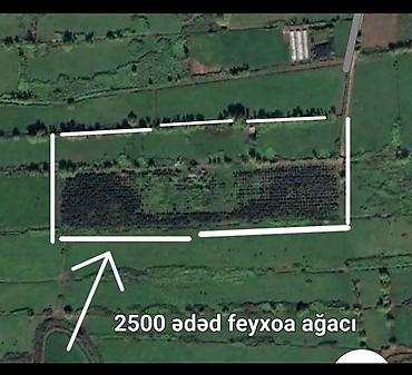 torpaq satişi: 720 sot, Kənd təsərrüfatı, Mülkiyyətçi, Kupça (Çıxarış) — 2