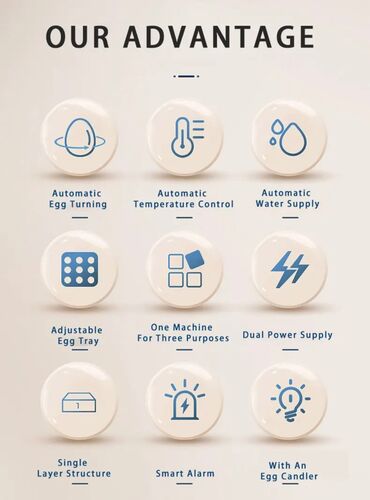 Oprema za kućne ljubimce: INKUBATOR Automatski nove generacije za 36 jaja 12v/220v — 8