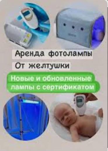 дордой одежды: Фотолампа наристелердин желтухасын үй шартында эффективдүү кетирүүчү — 8