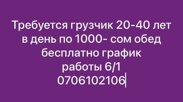 работа в дубае для кыргызстанцев без знания языка: Жүк ташуучу