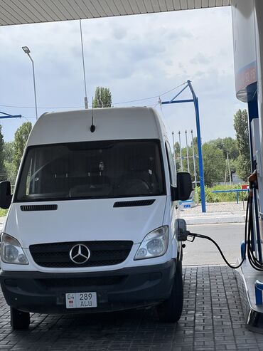 для животных: Доставка по городу
24/7