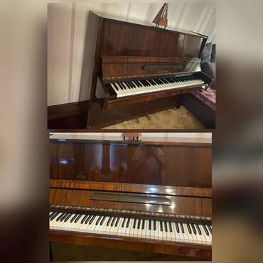 Yeni il ağacları: Piano, Akustik