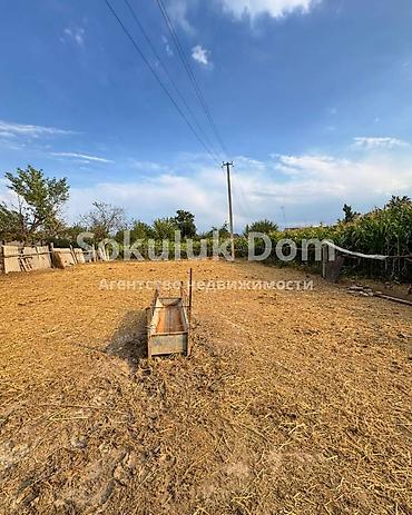 Продажа коттеджей и домов: 🏠Продается дом с большим сараем для скота в с. Сокулук 🟡 Комнаты: 4 🟡 — 6