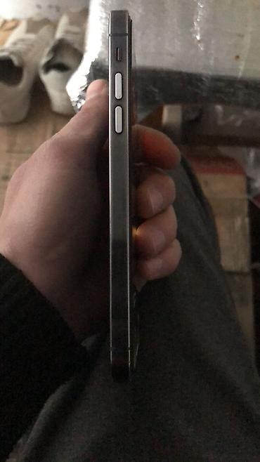 xr 13: IPhone 15 Pro Max, 128 GB, Graphite, Face ID — 4