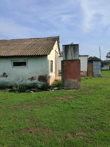 Torpaq sahələrinin satışı: Kənd təsərrüfatı -da lalafo.az — 20 Torpaq sahələrinin satışı: Kənd təsərrüfatı — 20