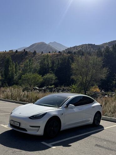 Tesla: Tesla Model 3: 2020 г., Электромобиль, Седан — 3