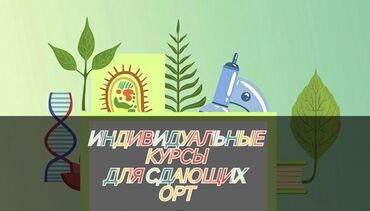 курсы бильярда: Репетитор | Биология | Подготовка к школе, Подготовка к экзаменам, Подготовка к ОРТ (ЕГЭ), НЦТ​