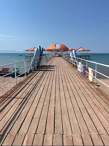 Продажа отелей и хостелов: Продается гостевой дом Апартаменты у моря с собственной — 16