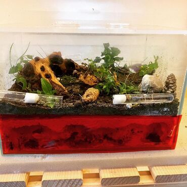 Heyvanlar üçün digər mallar: Hər ölçüdə hər dizaynda qarışqa yuvaları yığılır səliqəli və təmiz — 16