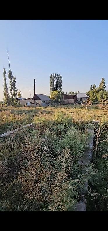 продается кашара: 8 соток, Для сельского хозяйства, Красная книга — 5