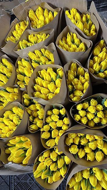 Букеты из живых цветов: Тюльпаны срезанные, сортовые, упакованные партиями. - Палитра — 3