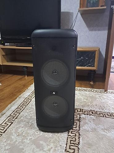 bluetooth mikrofon karaoke: KTS-1626 portativ akustik sistem - İki ədəd 8 düymlük (8"x2) — 1